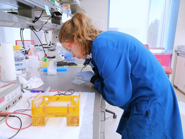 jeune chercheur de femme chargeant la pipette avec un échantillon d'adn - agarose photos et images de collection