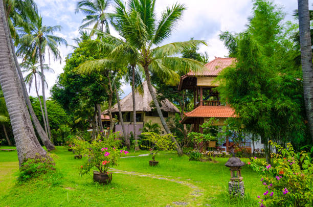 istock tropical paradise bungalows under palm trees - Bali 1180596565