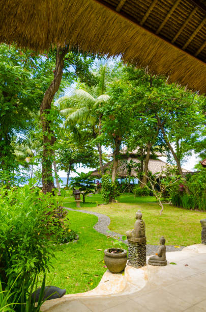 istock tropical paradise bungalows under palm trees - Bali 1180596592