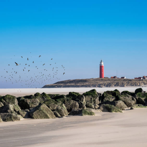 istock Old lighthouse on the beach of De Cocksdorp 1180596656