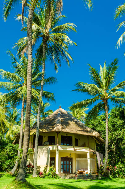 istock tropical paradise bungalows under palm trees - Bali 1180597176