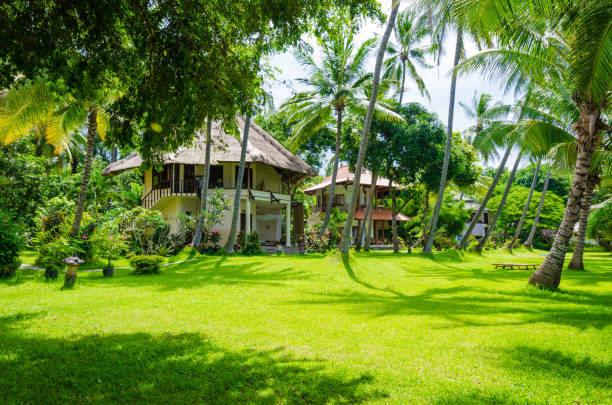 istock tropical paradise bungalows under palm trees - Bali 1180597210