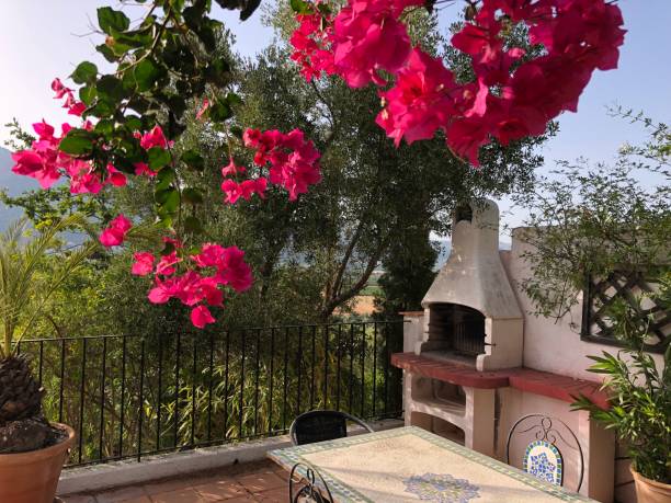 istock Villa Barbecue and eating area near Orba, Spain 1180597225