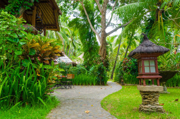 istock tropical paradise bungalows under palm trees - Bali 1180597268