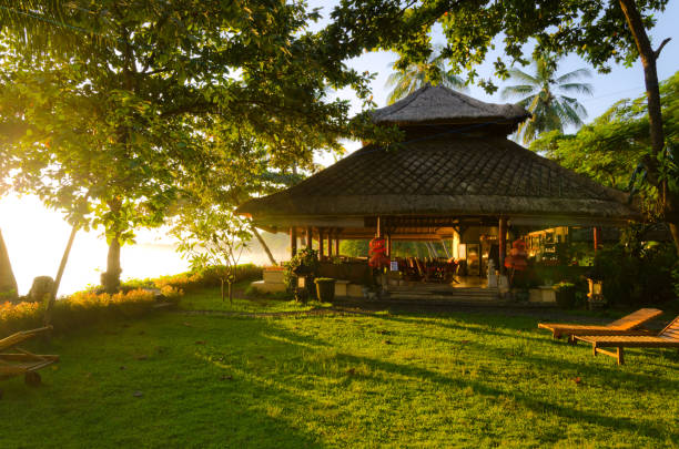 istock tropical paradise bungalows under palm trees - Bali 1180597308