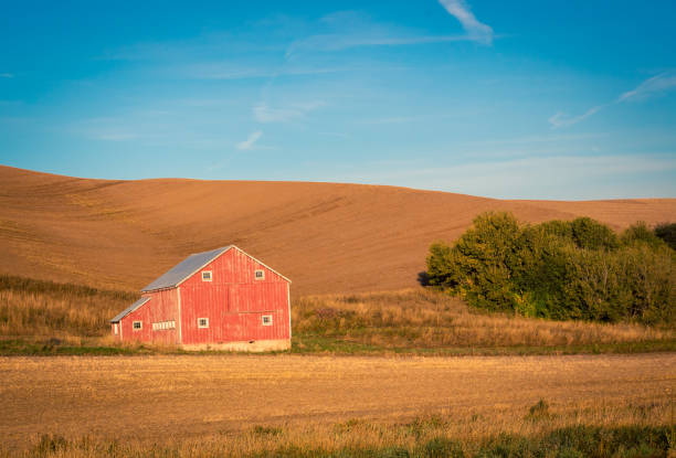 istock red wooden barn on the palouse 1180597334