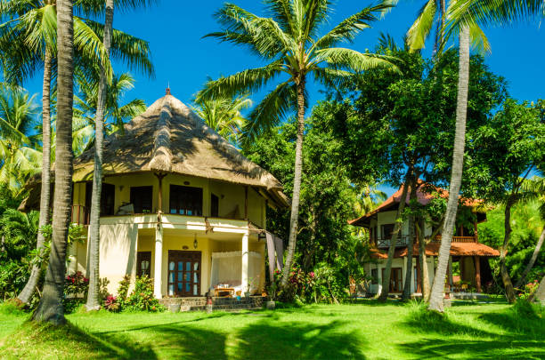 istock tropical paradise bungalows under palm trees - Bali 1180597346