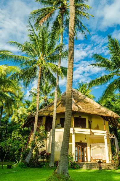 istock tropical paradise bungalows under palm trees - Bali 1180597367