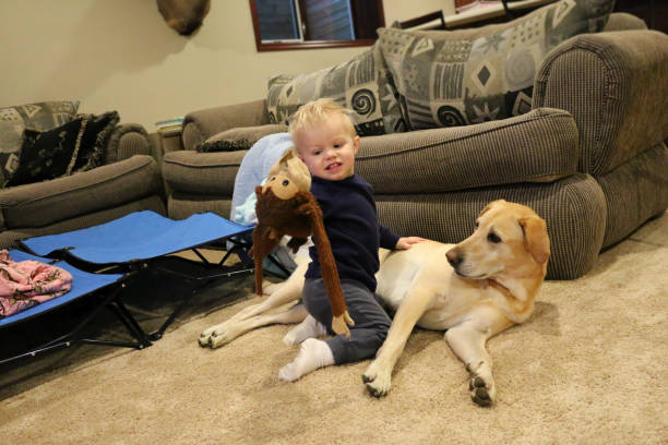 istock Child playing with dog toy 1180598689