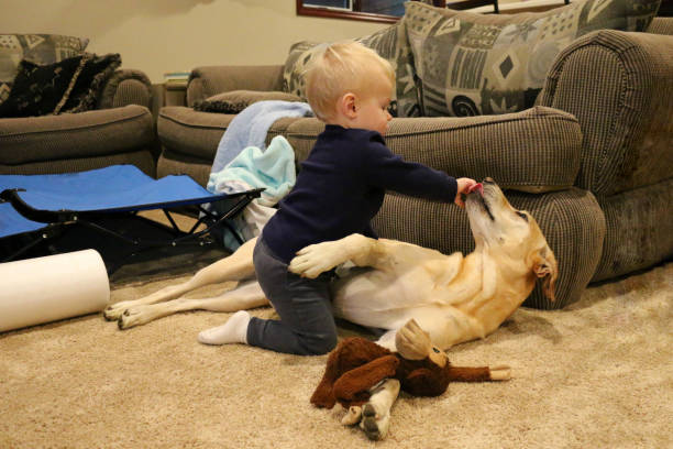 istock Child loves dog 1180598690