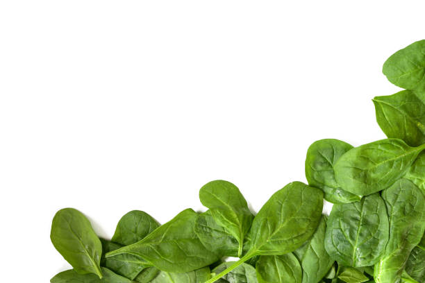 istock corner background from fresh spinach leaves isolated on white, copy space, high angle top view from above 1180600603