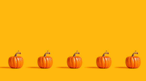 istock Autumn orange pumpkins 1180600705