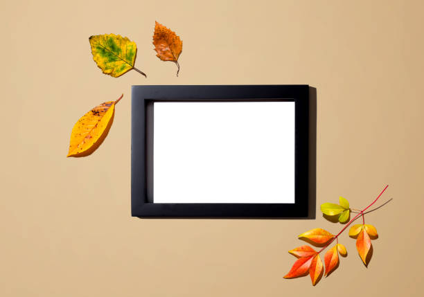 autumn leaves with blank photo frame - high angle view brown directly above photography imagens e fotografias de stock