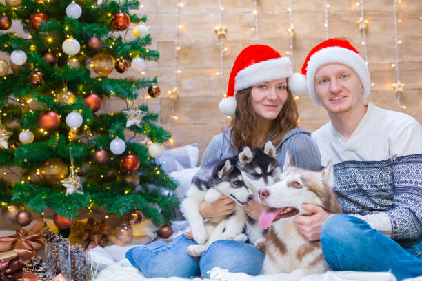 istock Woman, man, dogs husky, Christmas tree, hat 1180601953