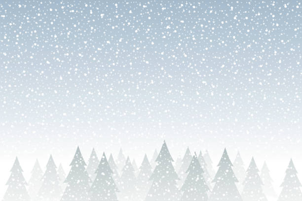 ilustrações de stock, clip art, desenhos animados e ícones de snowfall - tranquil christmas scene with falling snow and fir trees - wintry landscape snow fir tree winter