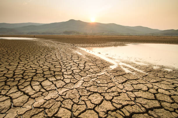 Drought and Climate change impact Drying lake effect of extreme weather and heating wave on summer, Climate change and Drought impact dry stock pictures, royalty-free photos & images
