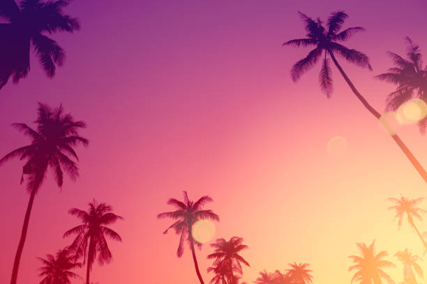 Summer vacation and nature travel adventure concept. Tropical palm tree with colorful bokeh sun light on sunset sky cloud abstract background. Vintage tone filter effect color style.