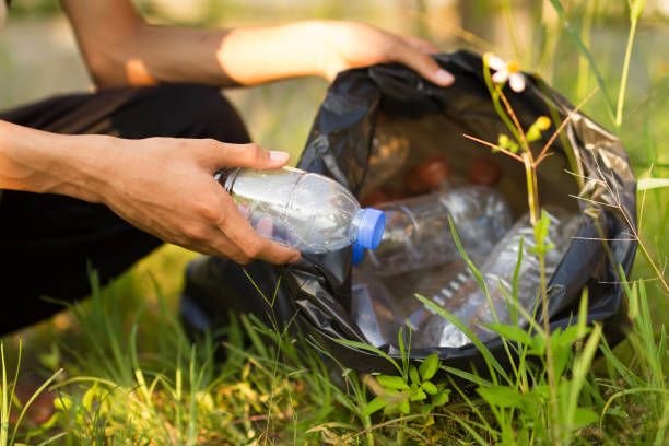 istock volunteer cleaning up plastic in forest 1180604592