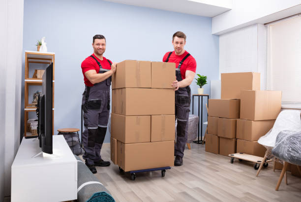 Portrait Of Two Young Movers With Stack Of Cardboard Boxes