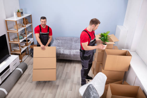 Movers Packing The Products In The Living Room stock photo