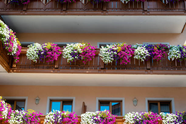 istock Traditional flowered balcony at the Alps, Austria. 1180605911