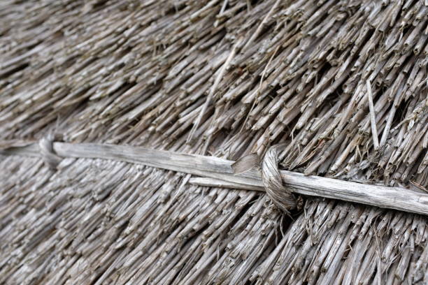 Buckinghamshire, England - August 11, 2019: this is a newly thatched roof on an old building.
