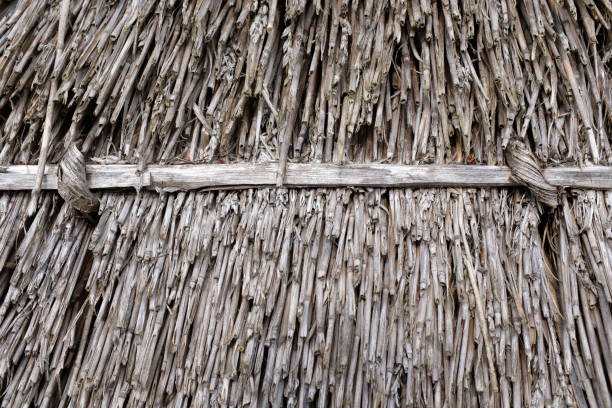istock Close-up of a thatched roof 1180607348
