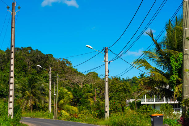 istock Power lines in Guadeloupe country side 1180609007
