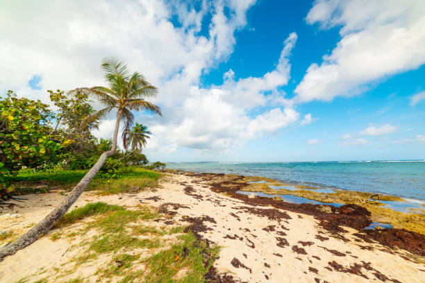 istock Autre Bord beach on a cloudy day 1180609171