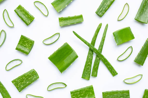 istock Aloe Vera cut pieces with slices on white background. 1180610828