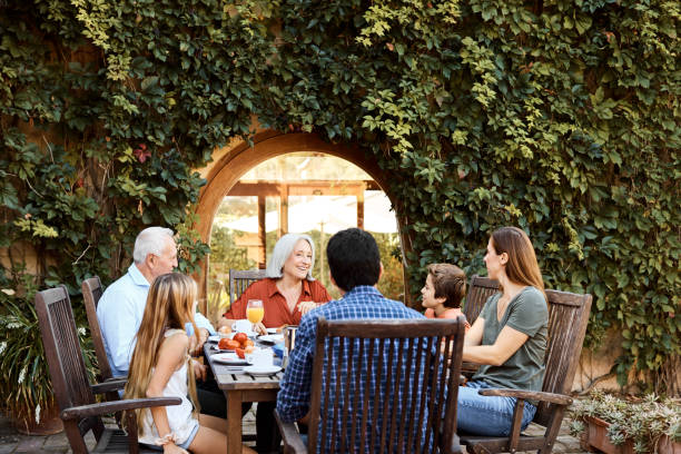 istock Multi-generation family having food in backyard 1180611057