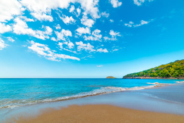 istock La Perle beach in Guadeloupe 1180611482