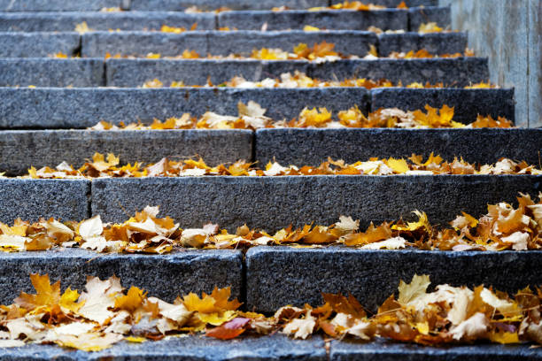 étapes de plan rapproché de l'escalier en pierre avec le feuillage jaune d'automne. mise au point peu profonde. - footpath autumn stone old photos et images de collection