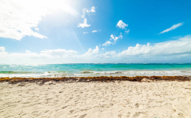 istock Sun shining over Grapes Clairs beach in Guadeloupe 1180611861