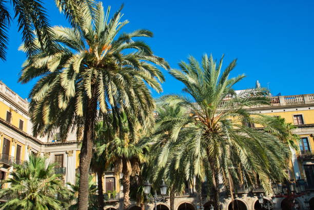 istock Barcelona, Spain - 14.08.2019: City walk and cityscapes 1180612670