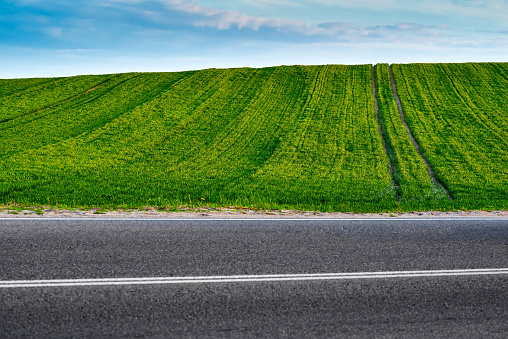 rural landscape of the sowed green hilly field on the horizon of the blue sky and a part of the asphalt highway closeup