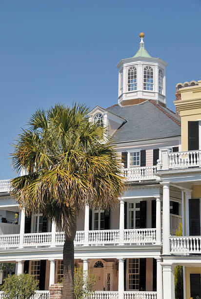 istock Historic Charleston, South Carolina 118061893