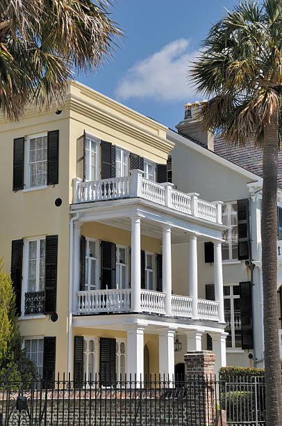 centro storico di charleston, carolina del sud - day vertical palmetto south carolina foto e immagini stock