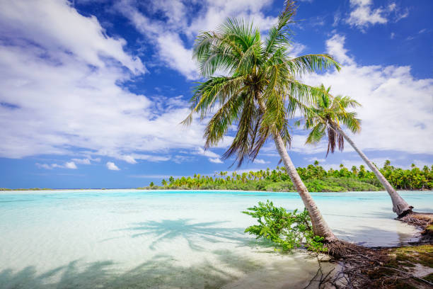 istock Fakarava French Polynesia Teahatea Atoll Beach 1180621522