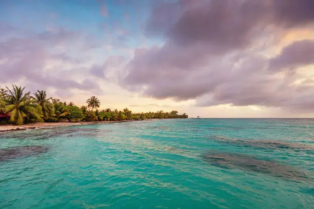 Colorful amazing sunset over the Fakarava Atoll in the South Sea. View over turquoise clean coral reef waters towards palmtree surrounded natural beach. Fakarava Atoll Island, UNESCO Biosphere Reserve, Tuamotu Islands Archipelago, French Polynesia.