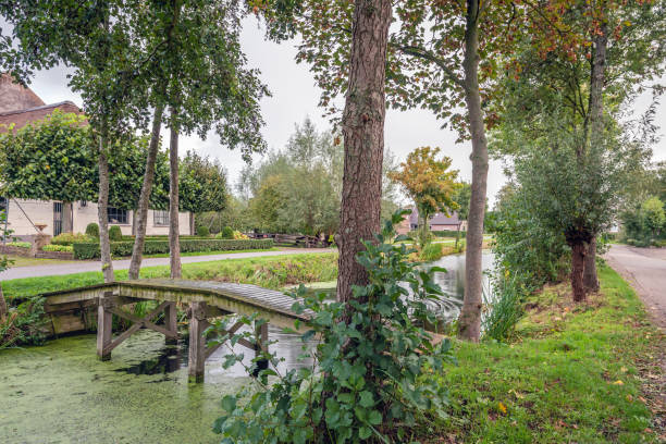 istock Small wooden bridge over a narrow river 1180622903