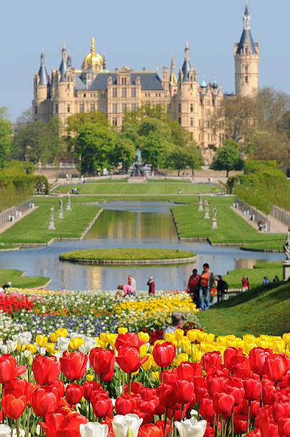 tulips and Schwerin (Germany)  schwerin castle stock pictures, royalty-free photos & images