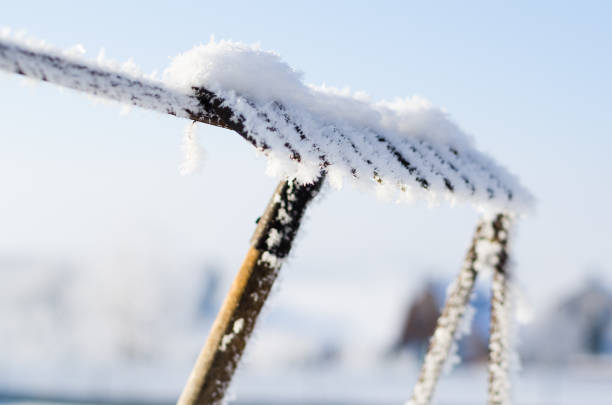 garden rake covered with snow and frost
