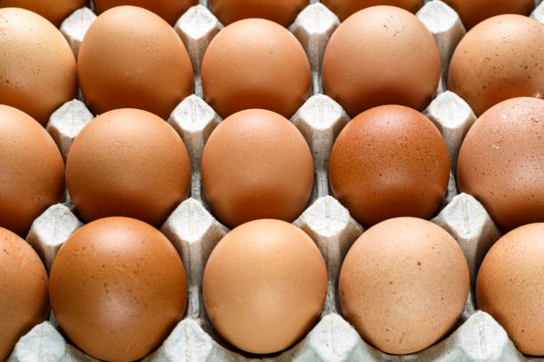 istock brown chicken eggs in a tray. close up as a background. 1180632365