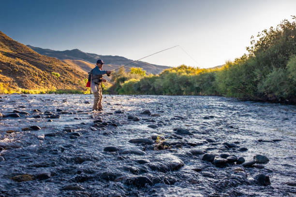 Euro Nymphing Fisherman An Asian/Japanese Euro Nymphing Fisherman on the Truckee River, Nevada. freshwater fishing stock pictures, royalty-free photos & images