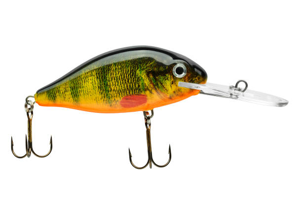 Fishing bait tackle and baubles for fishing on a white background, wobbler. Fishing bait tackle and baubles for fishing on a white background, wobbler. Field with Clipping Path. minnow fish photos stock pictures, royalty-free photos & images