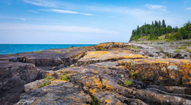 istock Orange Lichen and Grey stones 1180637976
