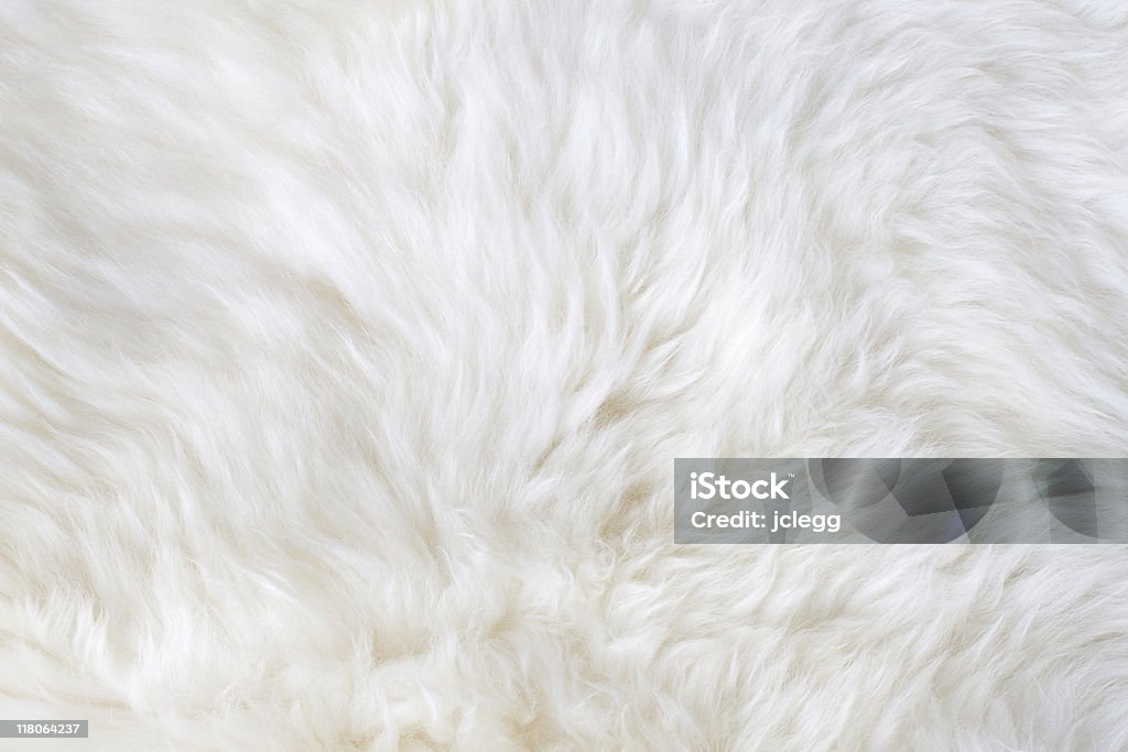 White Fur Stock Photo - Download Image Now - Fur, Animal Hair