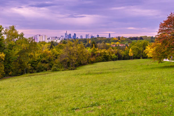 istock Frankfurt Am Main skyline view in autumn from Lohrberg 1180647610