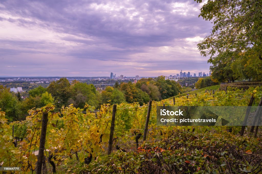 Frankfurt am Main Skyline-Ansicht im Herbst von Lohrberg - Lizenzfrei Frankfurt am Main Stock-Foto Frankfurt am Main Skyline-Ansicht im Herbst von Lohrberg - Lizenzfrei Frankfurt am Main Stock-Foto